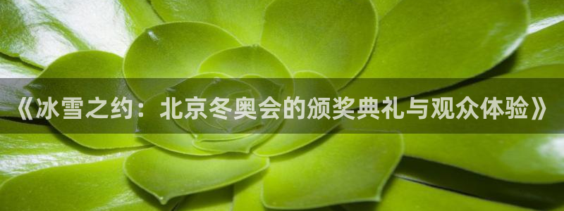 jinnianhui金年会
