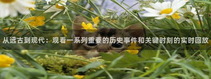 金年会网页版登录入口