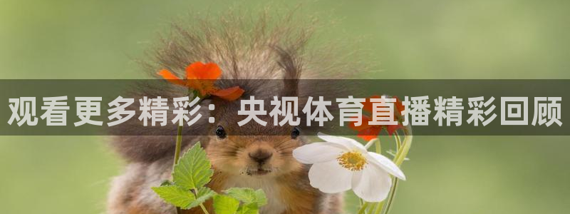 金年会app下载安装