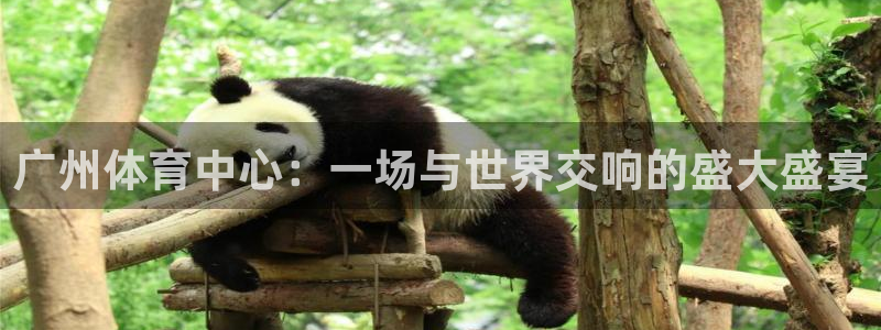 金年会网页版登陆